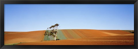 Framed Australia Print