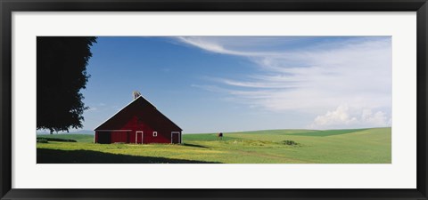 Framed Barn in a wheat field, Washington State (horizontal) Print