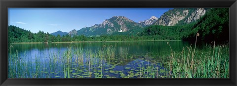 Framed Alpsee Bavaria Germany Print