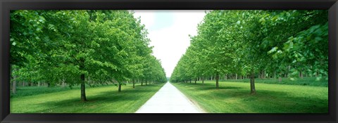 Framed Avenue at Chateau de Modave Ardennes Belgium Print