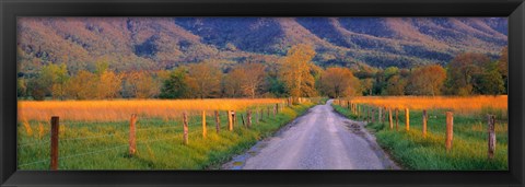 Framed Road At Sundown, Cades Cove, Great Smoky Mountains National Park, Tennessee, USA Print