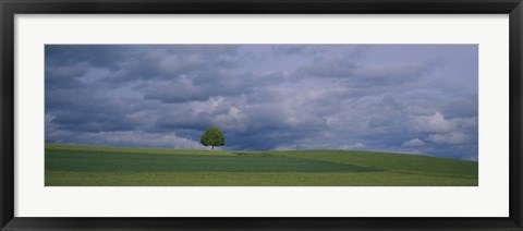 Framed Storm clouds over a field, Zurich Canton, Switzerland Print