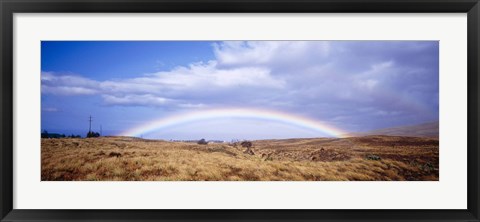 Framed Field, Rainbow, Hawaii, USA Print