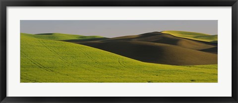 Framed Wheat Field On A Landscape, Whitman County, Washington State, USA Print