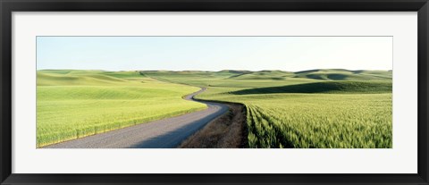 Framed Gravel Road Through Barley and Wheat Fields WA Print