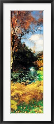 Framed View Of The Valley, Borrowdale, Keswick, Great Britain, United Kingdom Print