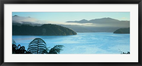 Framed Kenepuru, Marlborough Sound, New Zealand Print