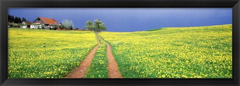 Framed Dirt road passing through a field, Germany Print