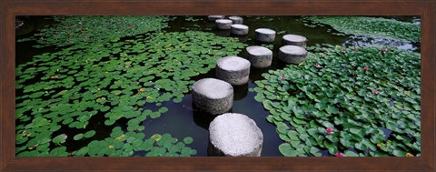 Framed Water Lilies In A Pond, Helan Shrine, Kyoto, Japan Print