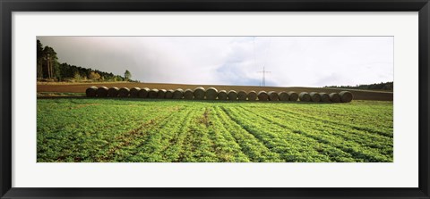 Framed Hay bales in a farm land, Germany Print