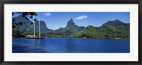 Framed Sailboats Sailing In The Ocean, Opunohu Bay, Moorea, French Polynesia Print