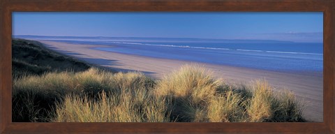 Framed Tall grass on the coastline, Saunton, North Devon, England Print