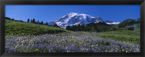 Framed Wildflowers On A Landscape, Mt Rainier National Park, Washington State, USA Print