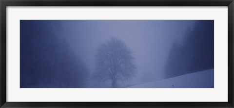 Framed Trees on a snow covered landscape, Schauinsland, Germany Print