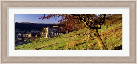 Framed Church On A Landscape, Rievaulx Abbey, North Yorkshire, England, United Kingdom Print