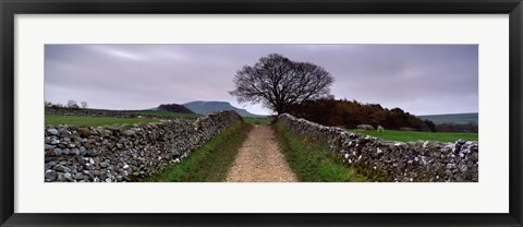 Framed Stone Walls Along A Path, Yorkshire Dales, England, United Kingdom Print