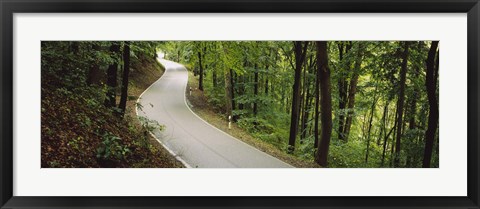 Framed Empty road running through a forest, Stuttgart, Baden-Wurttemberg, Germany Print