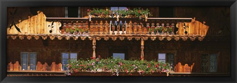 Framed Close-up of potted plants on balcony railings, Tirol, Austria Print