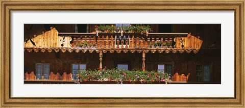 Framed Close-up of potted plants on balcony railings, Tirol, Austria Print