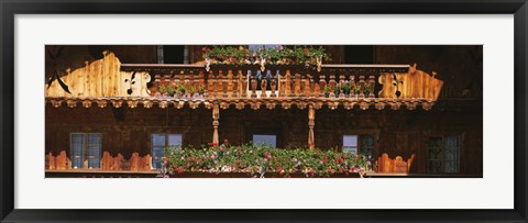 Framed Close-up of potted plants on balcony railings, Tirol, Austria Print