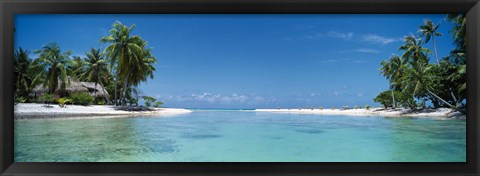 Framed Palm trees on the beach, Tikehau, French Polynesia Print