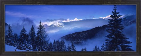 Framed Trees on a polar landscape, Simplon Pass, Switzerland Print