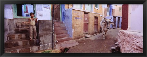 Framed Boy and a bull in front of building, Jodhpur, Rajasthan, India Print