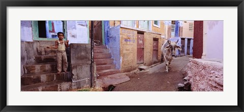 Framed Boy and a bull in front of building, Jodhpur, Rajasthan, India Print