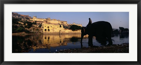 Framed Side profile of a man sitting on an elephant, Amber Fort, Jaipur, Rajasthan, India Print