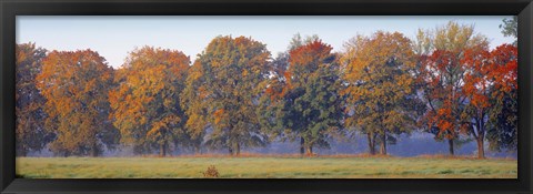 Framed Trees in a garden, South Bohemia, Czech Republic Print