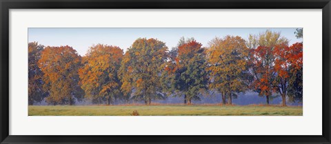 Framed Trees in a garden, South Bohemia, Czech Republic Print