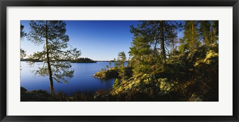 Framed Trees at the lakeside, Lake Saimaa, Puumala, Finland Print