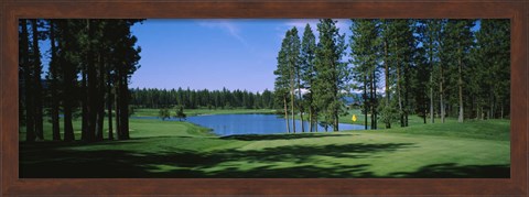 Framed Trees on a golf course, Edgewood Tahoe Golf Course, Stateline, Nevada, USA Print