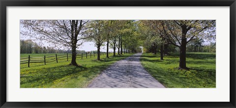 Framed Road passing through a farm, Knox Farm State Park, East Aurora, New York State, USA Print