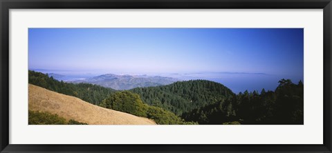 Framed High angle view of a forest, Mt Tamalpais, California, USA Print