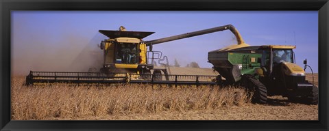 Framed Combine harvesting soybeans in a field, Minnesota Print