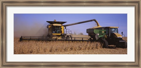 Framed Combine harvesting soybeans in a field, Minnesota Print