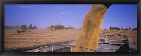 Framed Soybeans harvesting, Minnesota Print