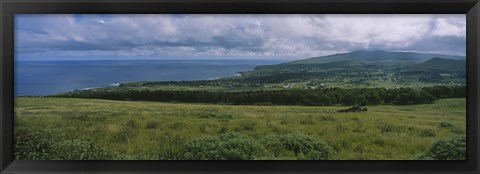 Framed High angle view of trees on a landscape, Easter Island, Chile Print