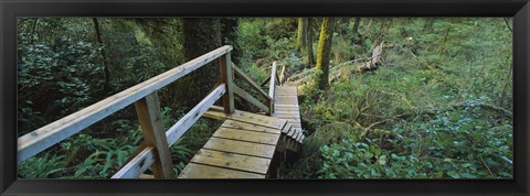 Framed Wooden Path in Pacific Rim National Park Print