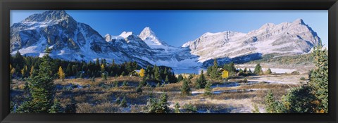 Framed Landscape of Mt Assiniboine Provincial Park Print