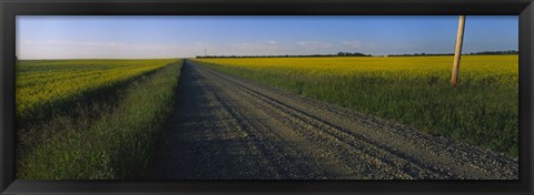 Framed Country Road in Millet, Canada Print