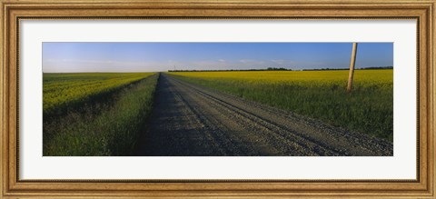 Framed Country Road in Millet, Canada Print