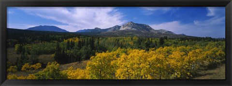 Framed Valley of Trees in Wateron Lakes Print