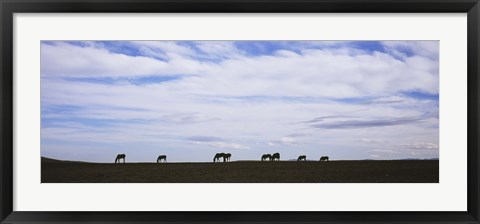 Framed Horses in Field Print