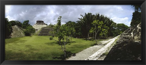 Framed Old ruins of a temple in a forest, Xunantunich, Belize Print