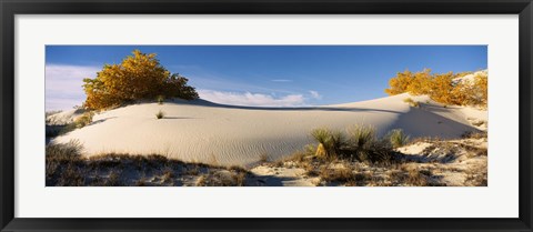 Framed Desert plants in White Sands National Monument, New Mexico Print