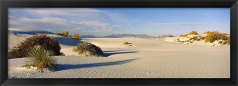 Framed Desert plants in a desert, White Sands National Monument, New Mexico, USA Print