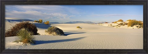 Framed Desert plants in a desert, White Sands National Monument, New Mexico, USA Print