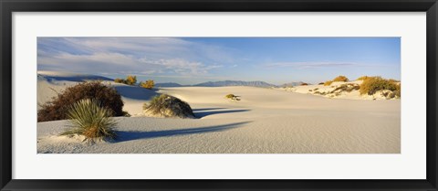 Framed Desert plants in a desert, White Sands National Monument, New Mexico, USA Print